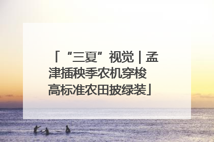 “三夏”视觉｜孟津插秧季农机穿梭 高标准农田披绿装